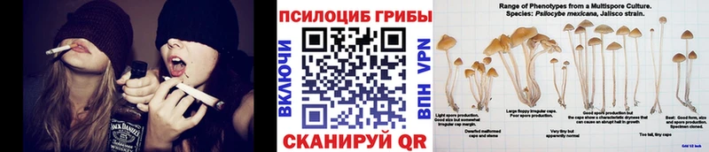 Галлюциногенные грибы MAGIC MUSHROOMS  Корсаков 